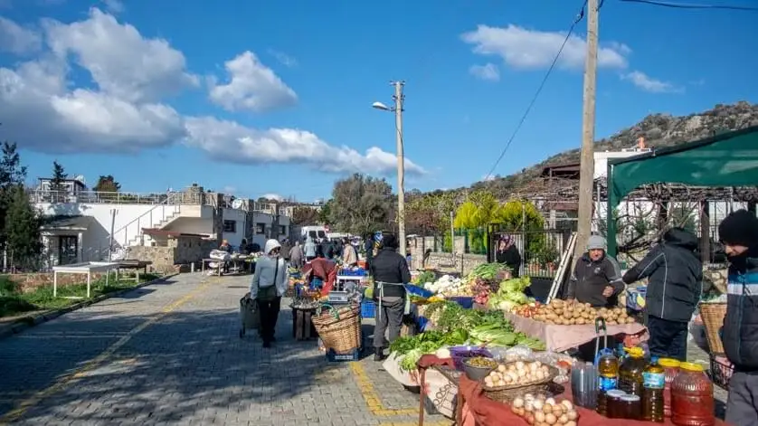 G&uuml;m&uuml;şl&uuml;k Pazarı