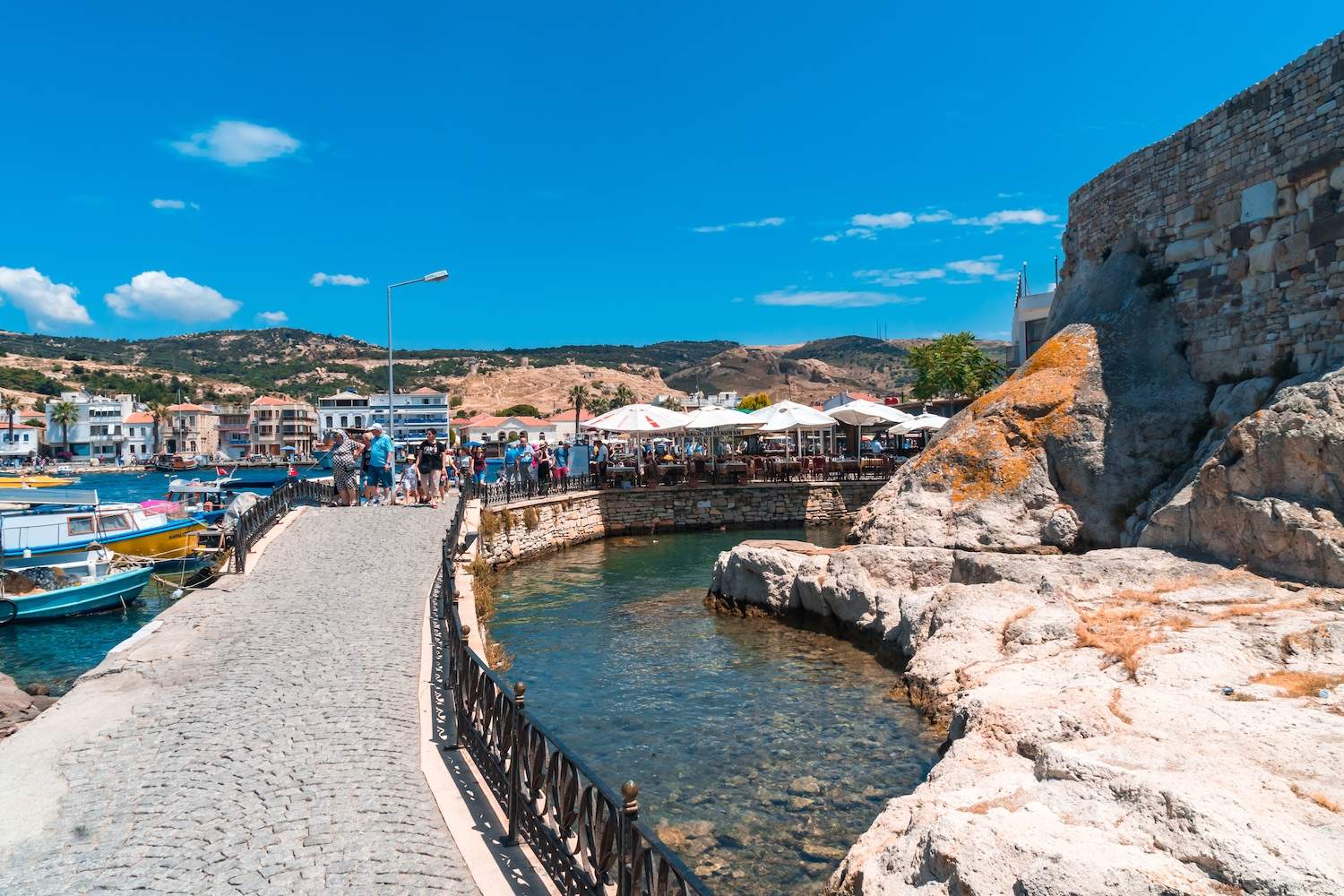 Fo&ccedil;a