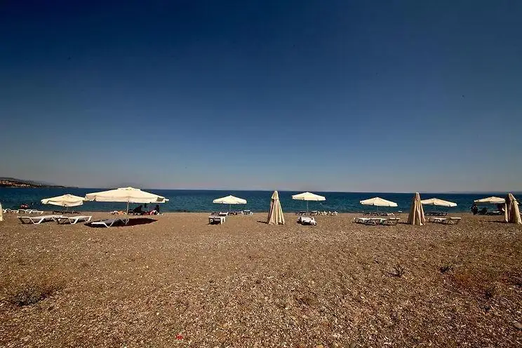 Assos Club Beyaz, +16