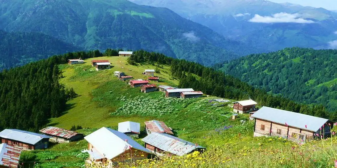  &Ccedil;ambaşı Yaylası