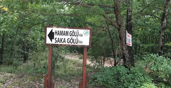 Saka Gölü