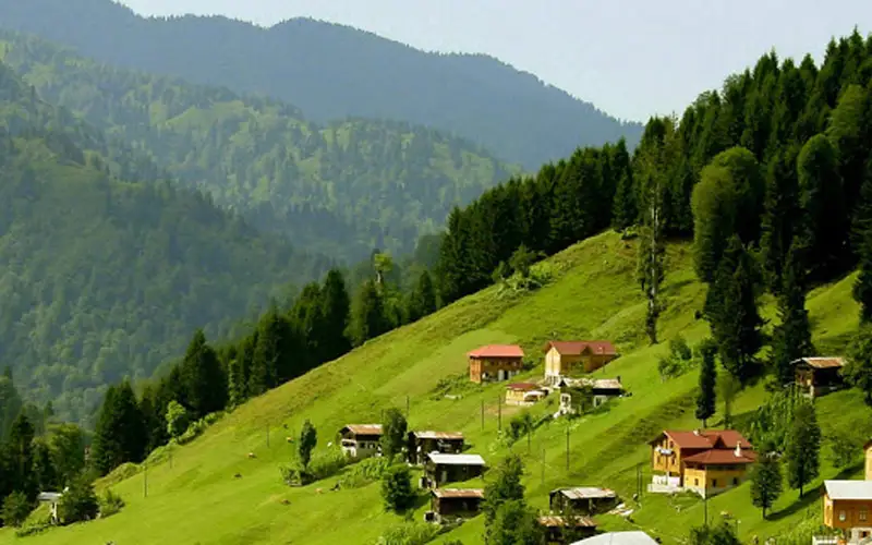 Karadeniz’in Yeşili