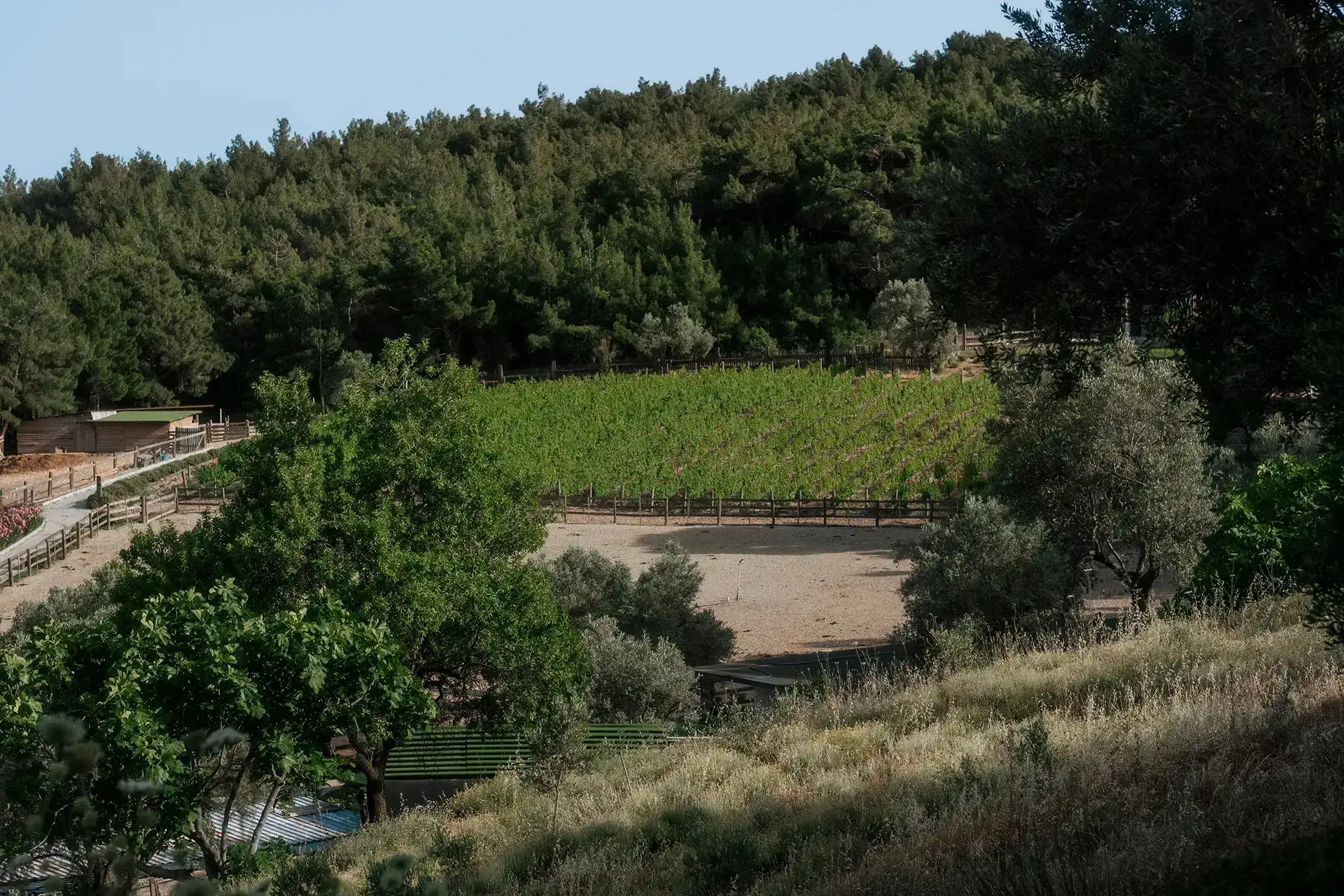Yılbaşı Gecesi Manej Urla’da