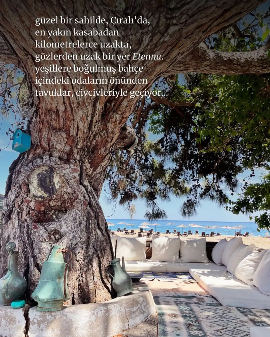 Etenna beach bungalows &ndash; &Ccedil;ıralı / Antalya