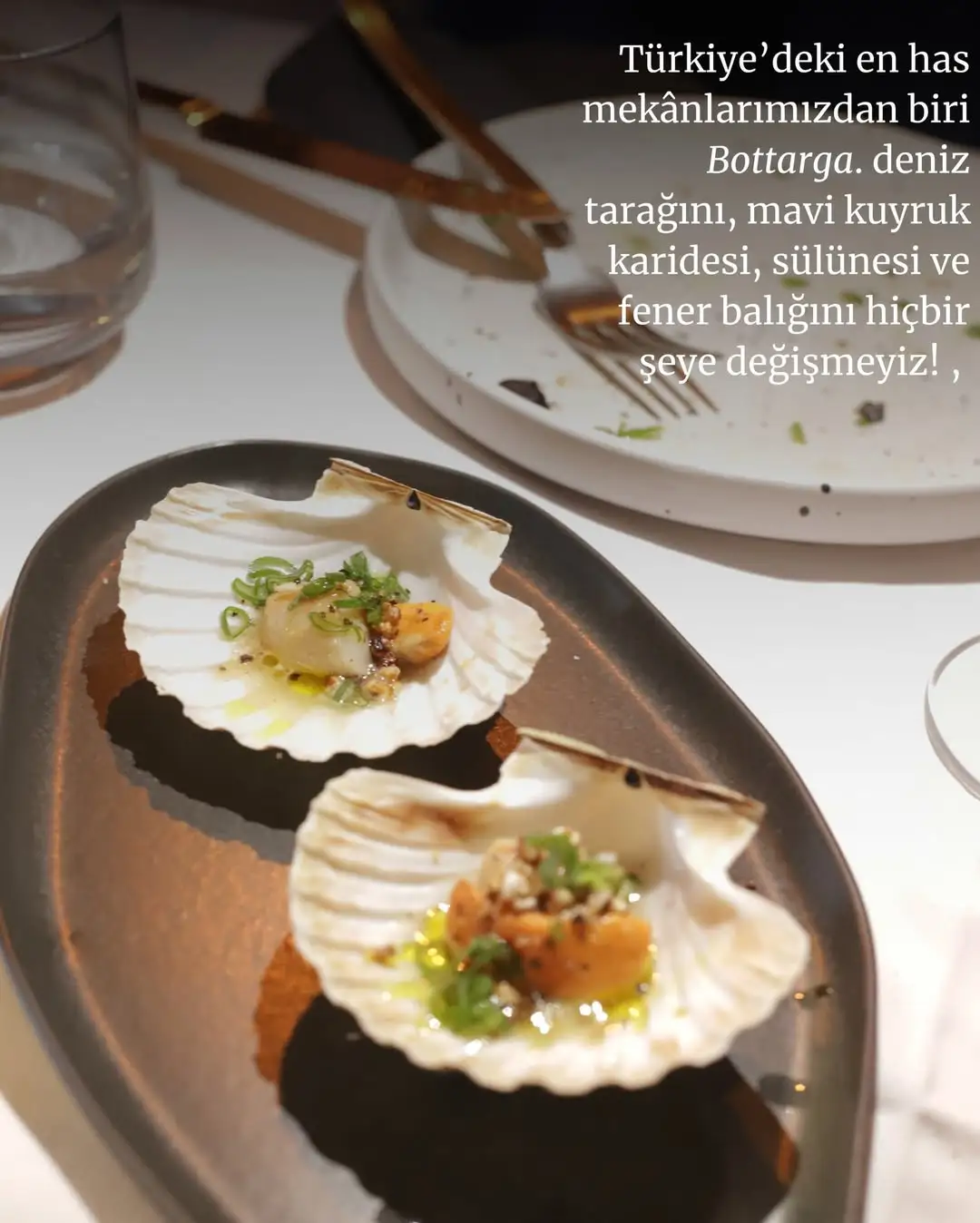 Bottarga_restaurant &ndash; Kuşadası / Aydın