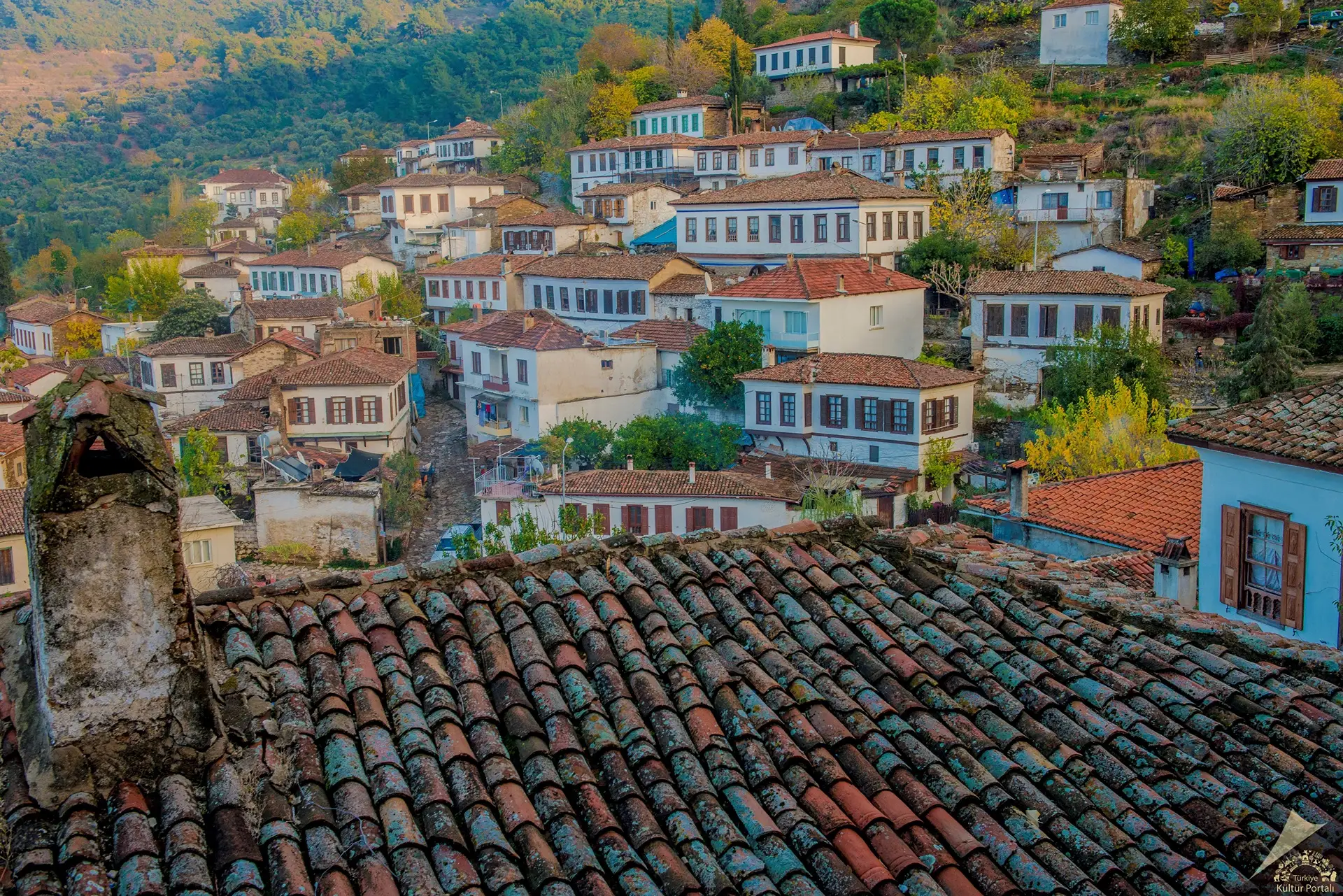 Efes’ten Şirince’ye, Kuşadası’na Uzanan Bir Ege Rotası