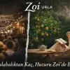 Urla Enginar Festivalinin Kalbinde, Zoi Urla’nın Sakinliğinde