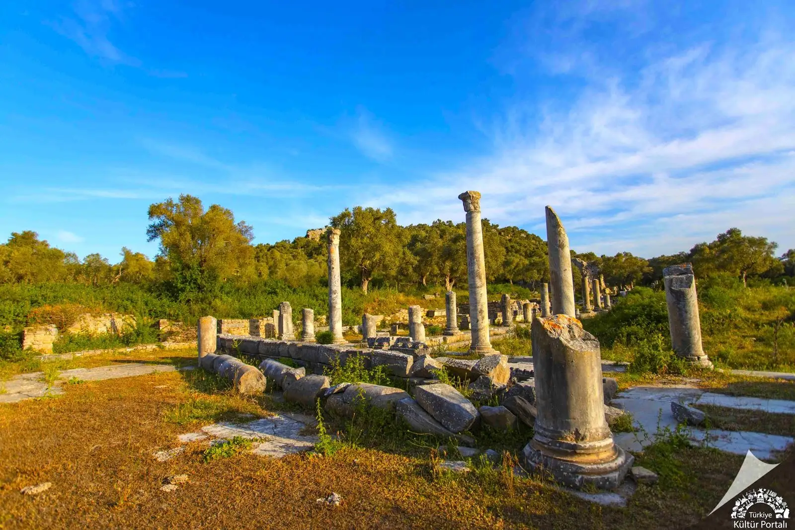 Milas Gezi Rehberi: Ne Zaman Gidilir, Nerede Denize Girilir, Ne Yapılır?