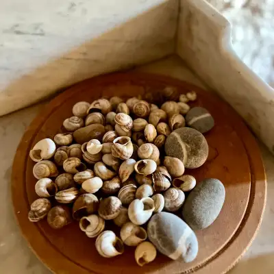 Heritage Homes Atalık Evler – Alamango Evi