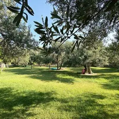Assos Park Hotel