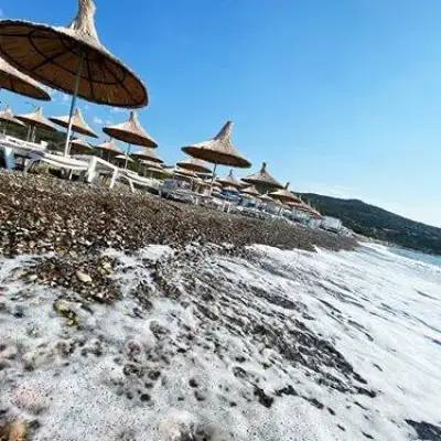Assos Park Hotel
