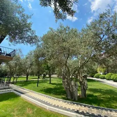 Assos Park Hotel