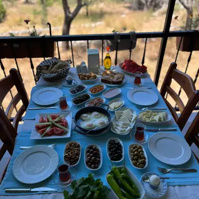 Söğüt İrene