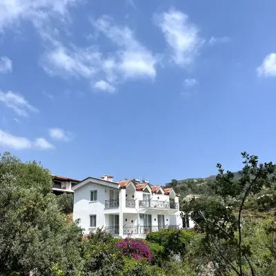 Söğüt İrene