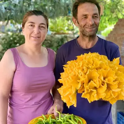 Söğüt İrene