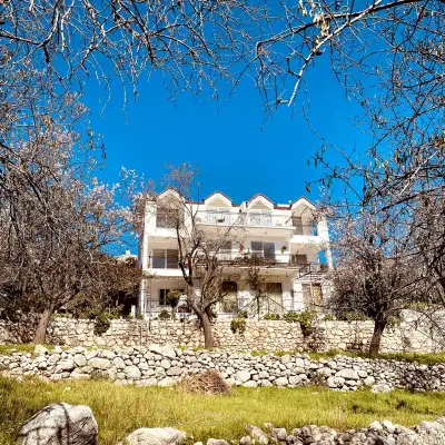 Söğüt İrene