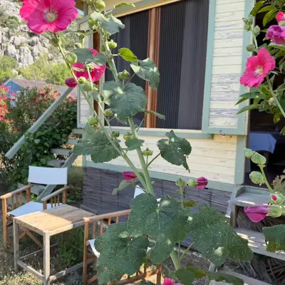 Kocabahçe Glamping & Restaurant