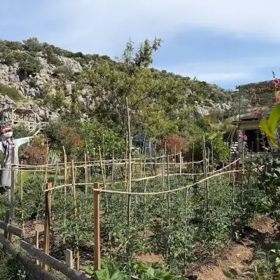 Kocabahçe Glamping & Restaurant