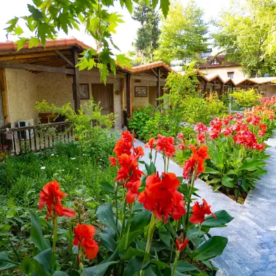 Likya Adrasan
