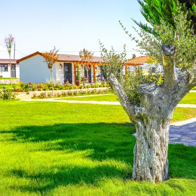 Linasya Otel