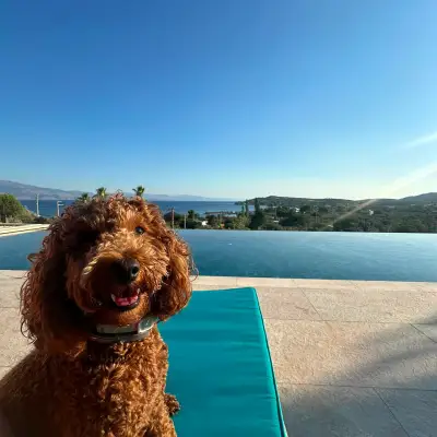 Assos Longevity Hotel