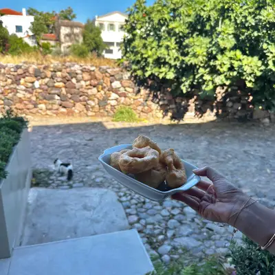 Novi Cunda