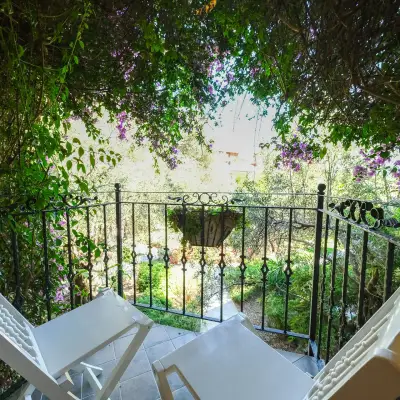 Olive Odore Palace Hotel
