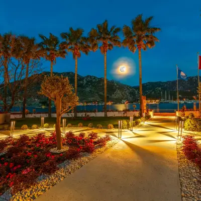 Palmetto Resort Hotel