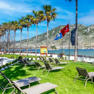 Palmetto Resort Hotel