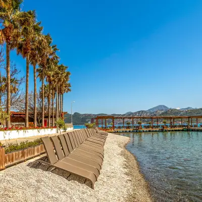 Palmetto Resort Hotel