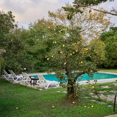 Villa Fe Çatalca