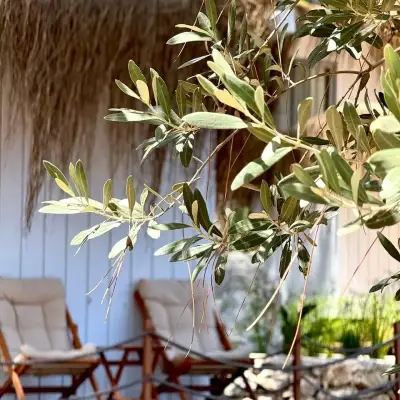 Z-Villas Beach Hotel