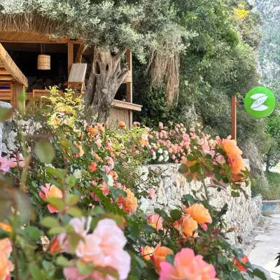 Z-Villas Beach Hotel